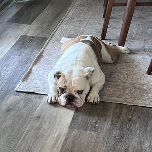 Meet your Posher, Johnny